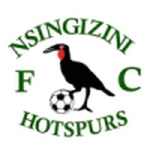 Nsingizini Hotspurs
