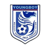Dalian Yingbo B