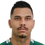 Alisson Taddei