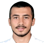 H. Demir