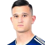 D. Štefulj