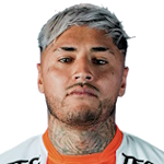 J. Gaete