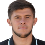 M. Shvagirev