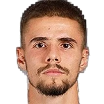 V. Naydenov