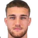 D. Bîrligea
