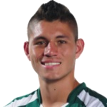 Nicolas Roa