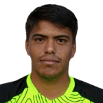 P. Meza