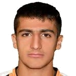 M. Tikdarinejad