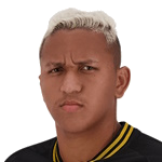 Neto Acará