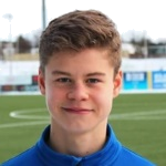 A. Birgisson