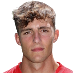 T. van Bommel