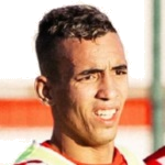 أنس سرغات