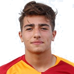 K. Arslan