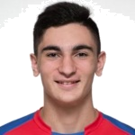 T. Avanesyan