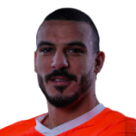 شكري نجيب