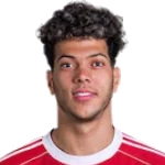 Emam Ashour