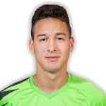 Jovan Mitrović