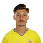 Joel del Pino