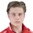 V. Jurvanen