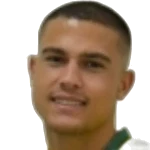Vinicius Baracioli