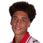 A. Witsel