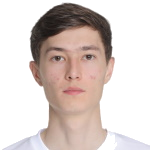 I. Ibragimov