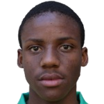 M. Modise