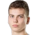 N. Stankevičius