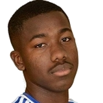 Y. N'Diaye