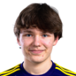 V. Maijanen