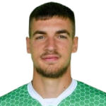 J. Mitrović