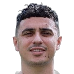 Karim Hafez