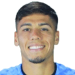 P. Navarro