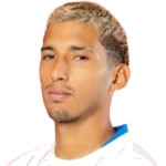 J. Pinto