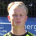 T. Stelzl