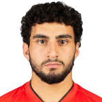 H. Minasyan