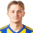 J. Halminen