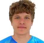 V. Paltsev
