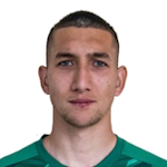 N. Karabashev