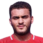 Hesham Hafez