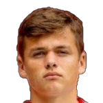 D. Višinský