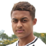 دودو