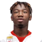 نيني دورجيليس