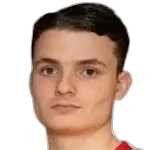 D. Salčinović