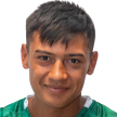 Á. Almada