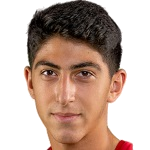 T. Sargsyan