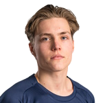 D. Heikkinen