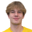 L. Nokelainen
