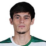 T. Ibishev