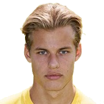 J. van der Wilt